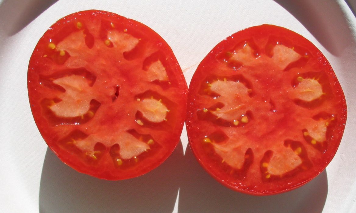 									greek-tomatos123									