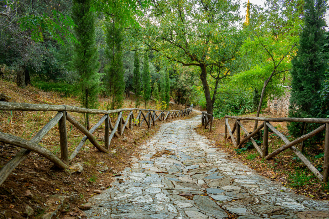 									Stone,Path,At,Kesariani,Aesthetic,Forest,On,Mountain,Hymettus,(ymittos),									